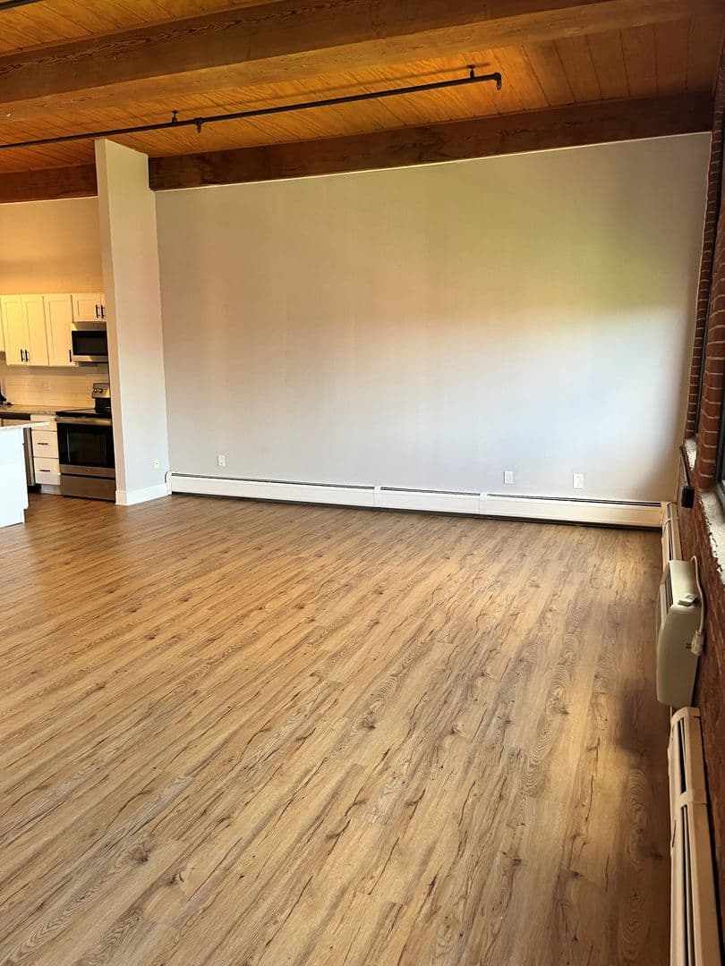 Springfield Apartment: 45 Willow Street #521