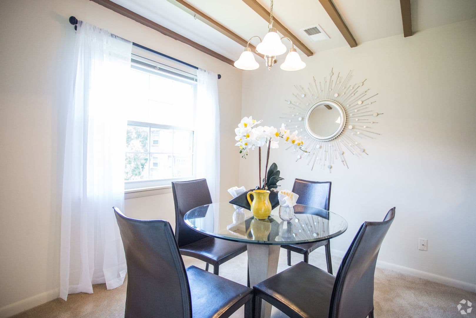 McLean Apartment: 1805 Wilson Lane