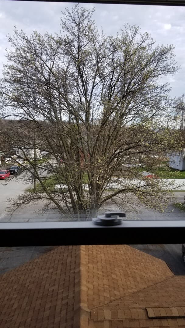 Beaver Apartment: 457 State Avenue