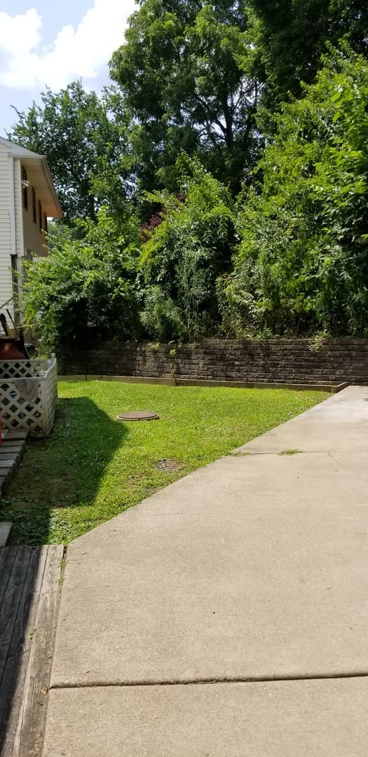 Carnegie Apartment: 131 Court Street