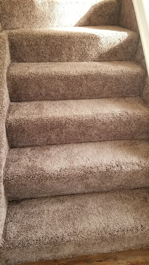 Beaver Apartment: 457 State Avenue