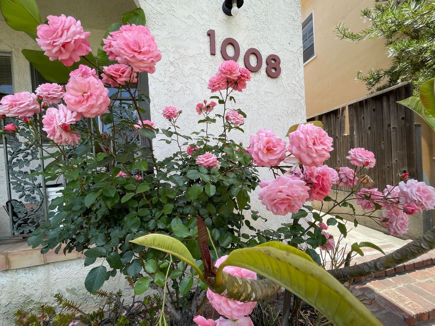 Santa Monica Apartment: 1008 17th Street