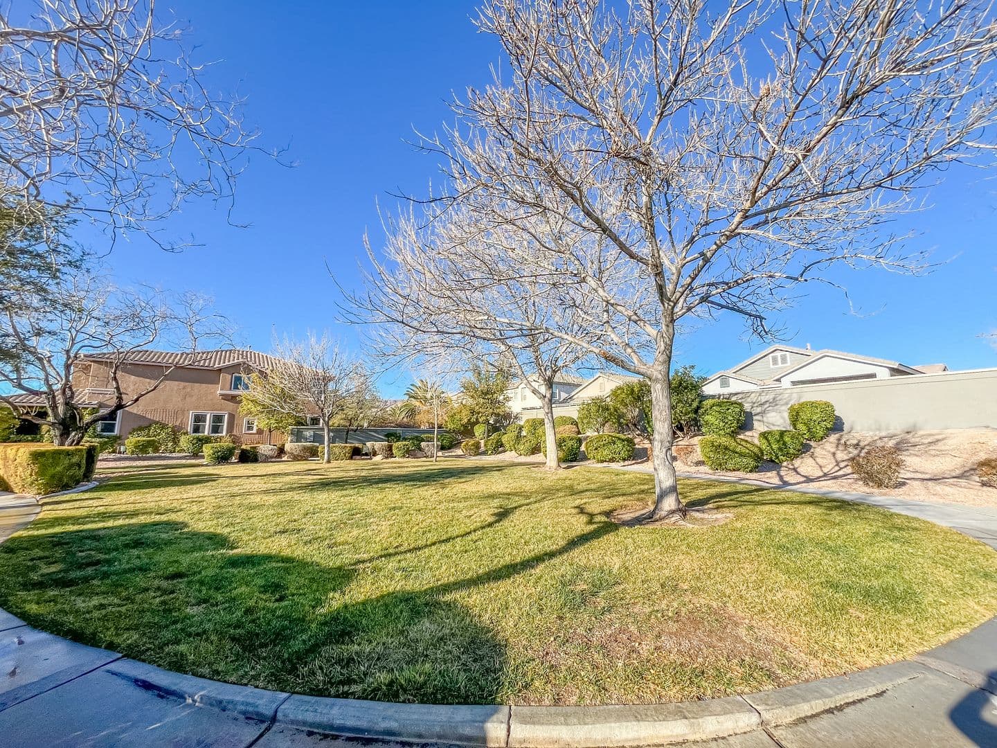 Las Vegas House: 3335 Antique Rose Drive