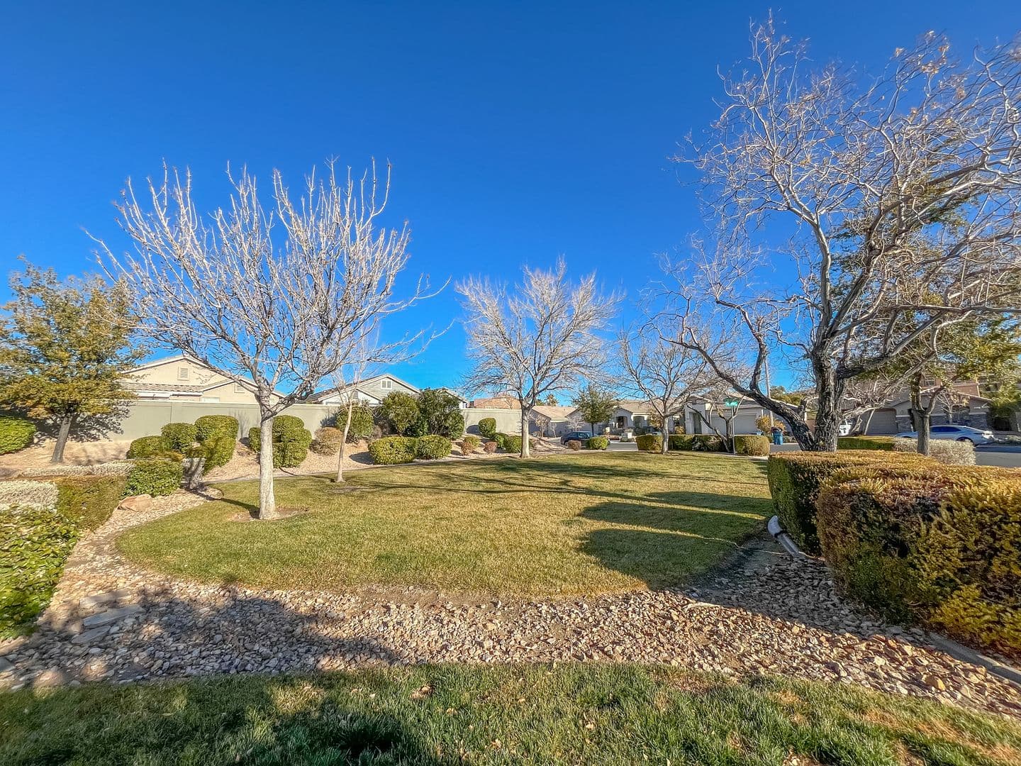 Las Vegas House: 3335 Antique Rose Drive