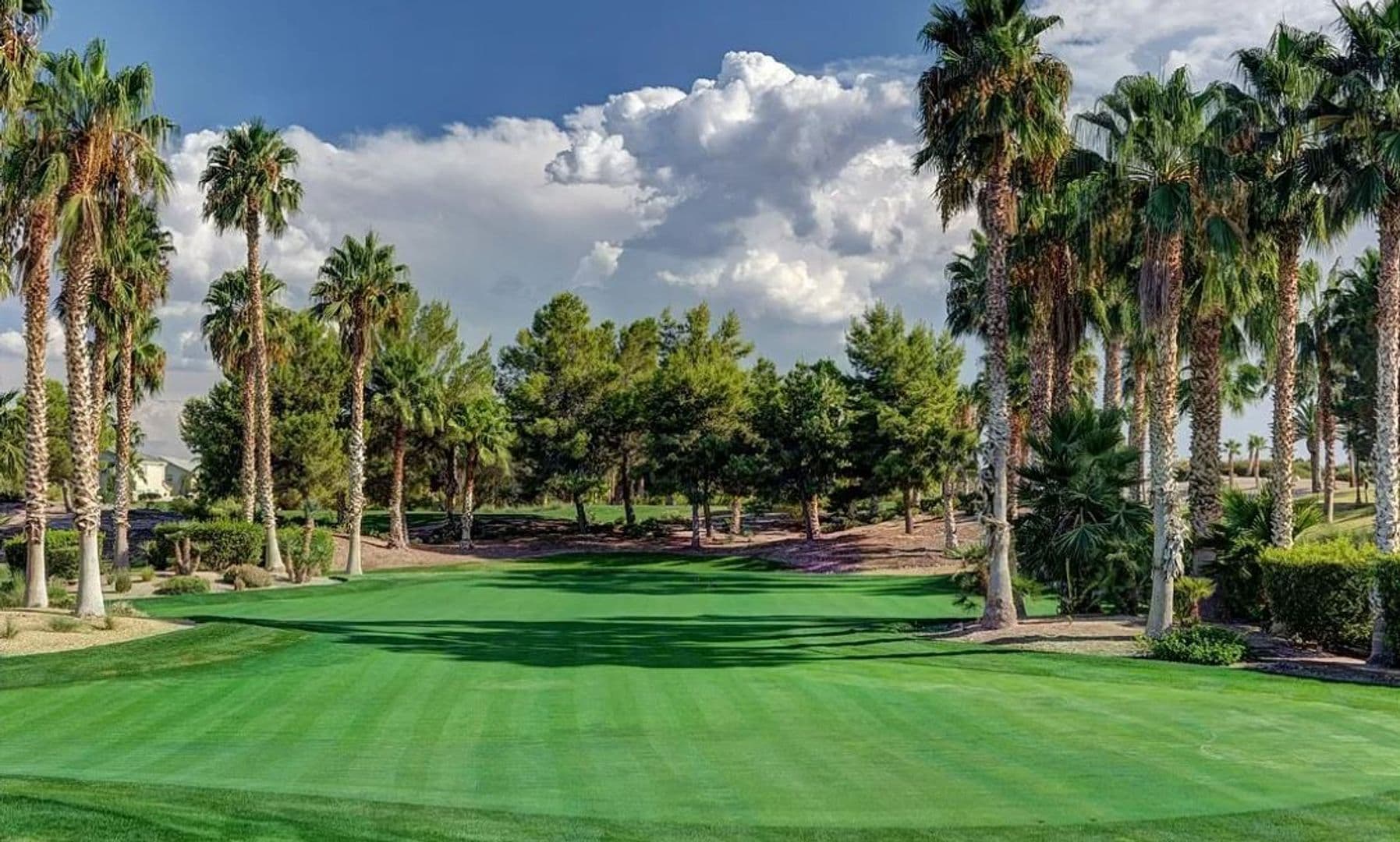 Las Vegas House: 282 Caddy Bag Ct