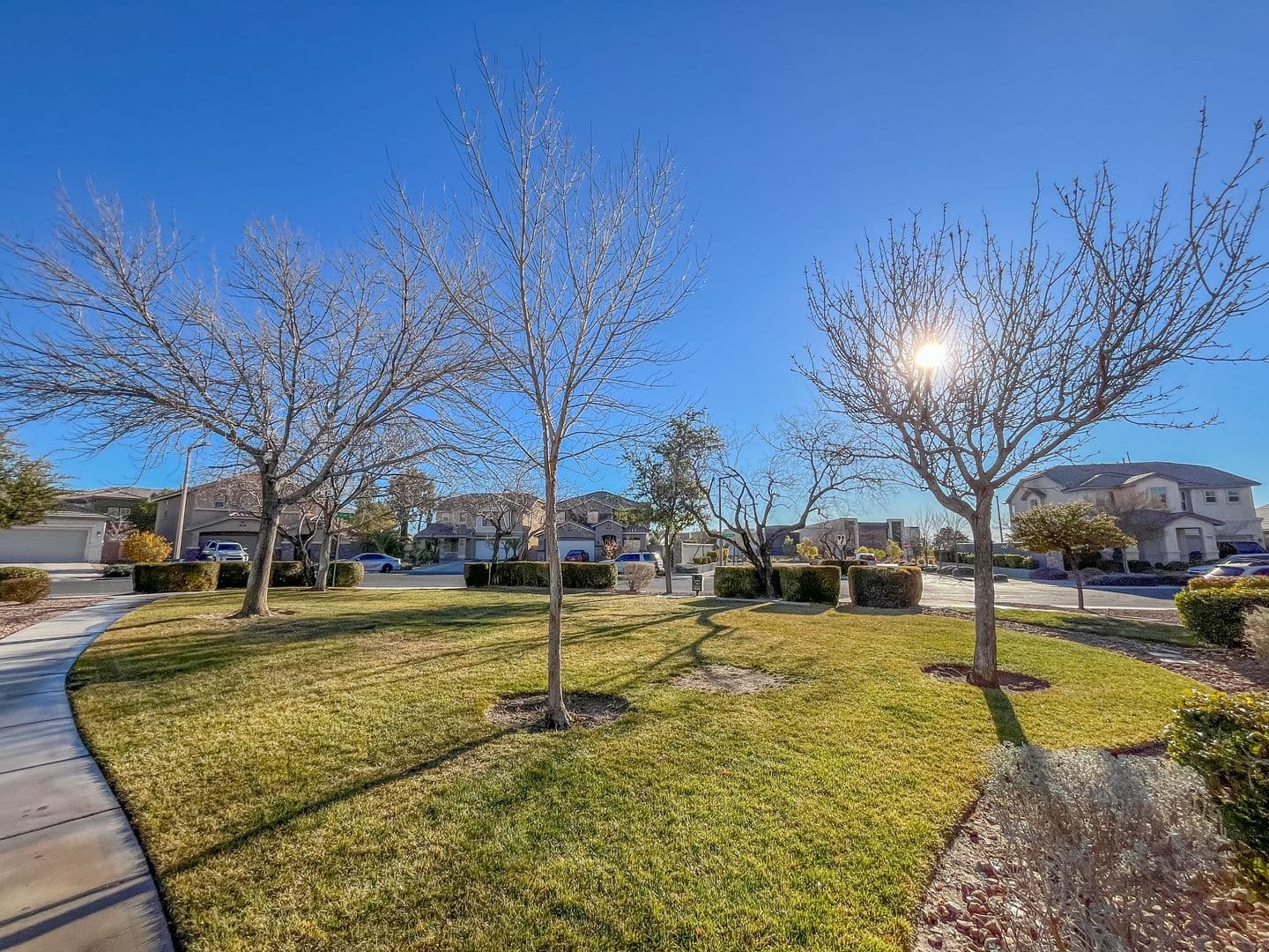 Las Vegas House: 3335 Antique Rose Drive