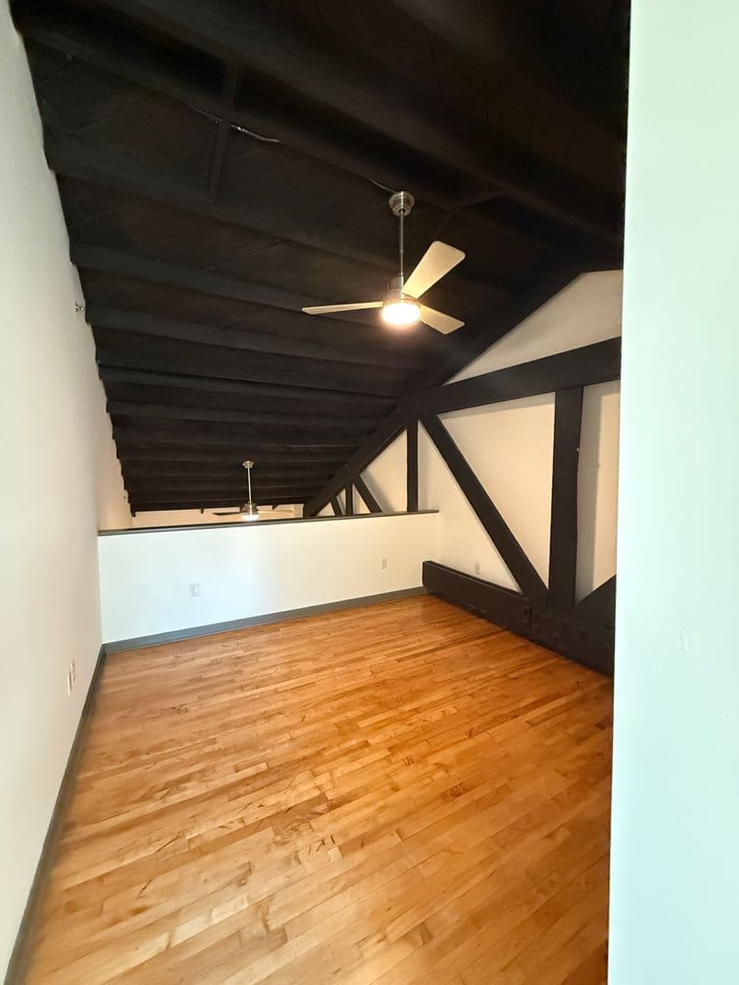 Richmond Apartment: 1809 E Franklin Street