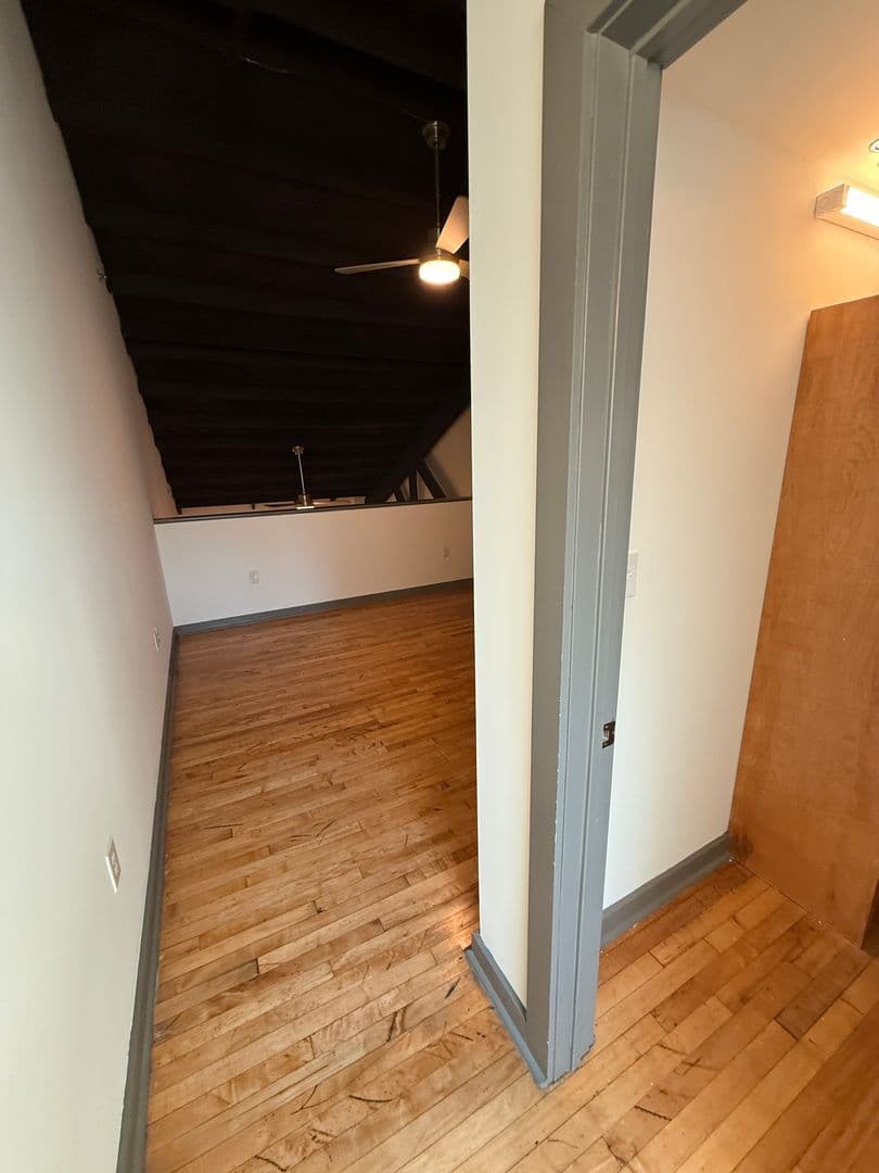 Richmond Apartment: 1809 E Franklin Street