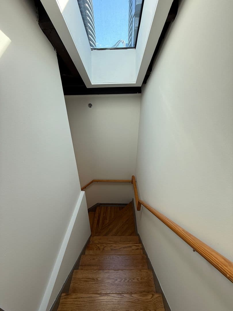 Richmond Apartment: 1809 E Franklin Street