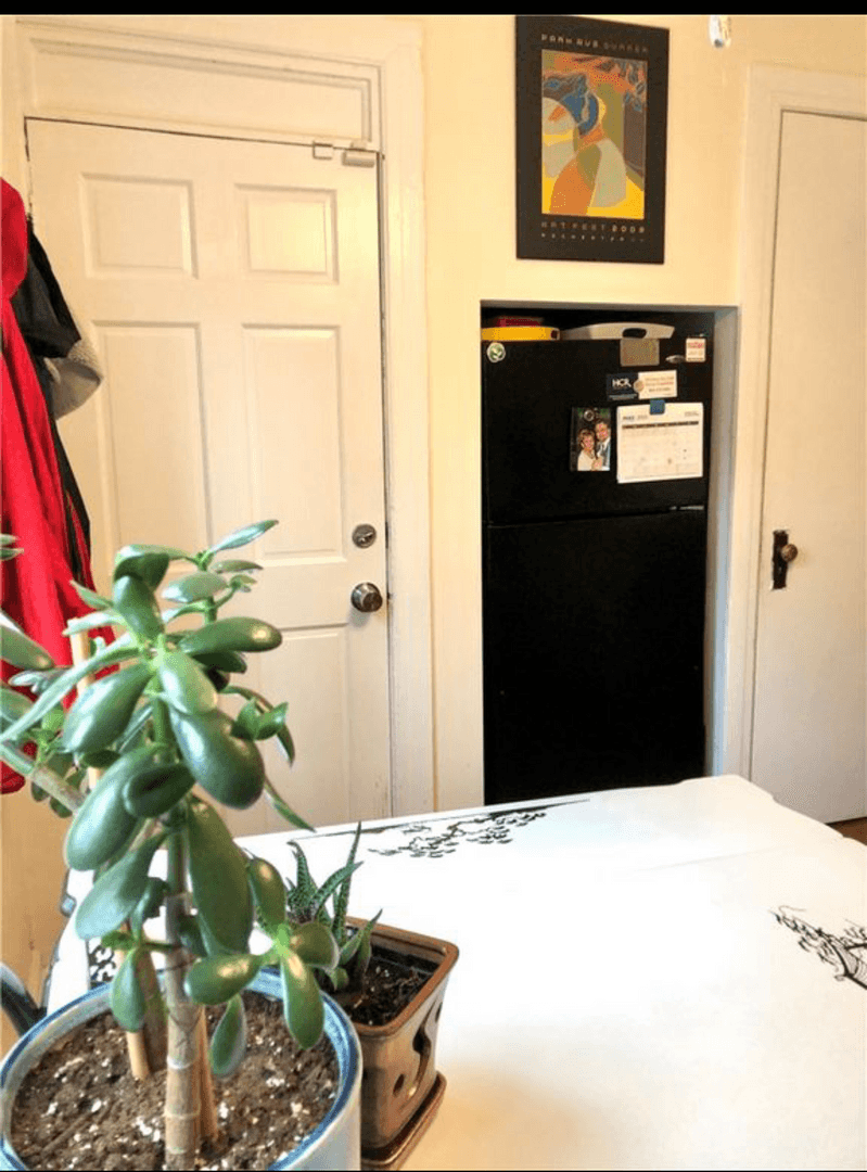 Rochester Apartment: 96 Rutgers Street