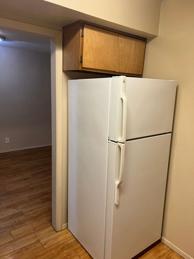 Denton Apartment: 1115 North Austin Street