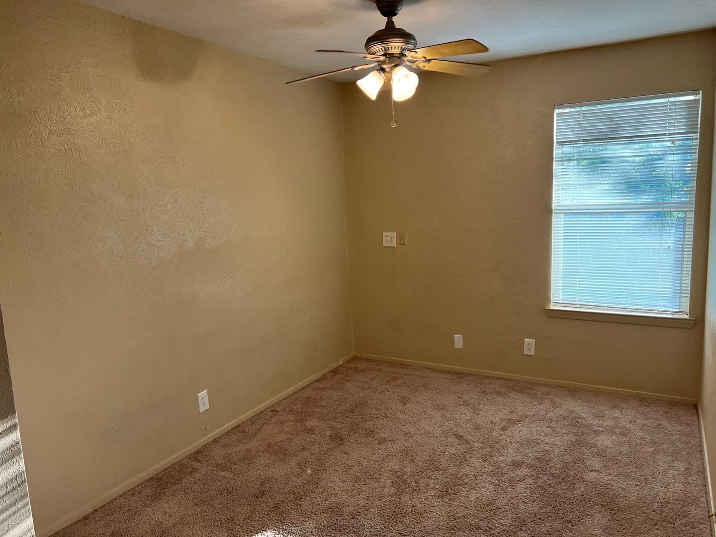 Denton Apartment: 1115 North Austin Street