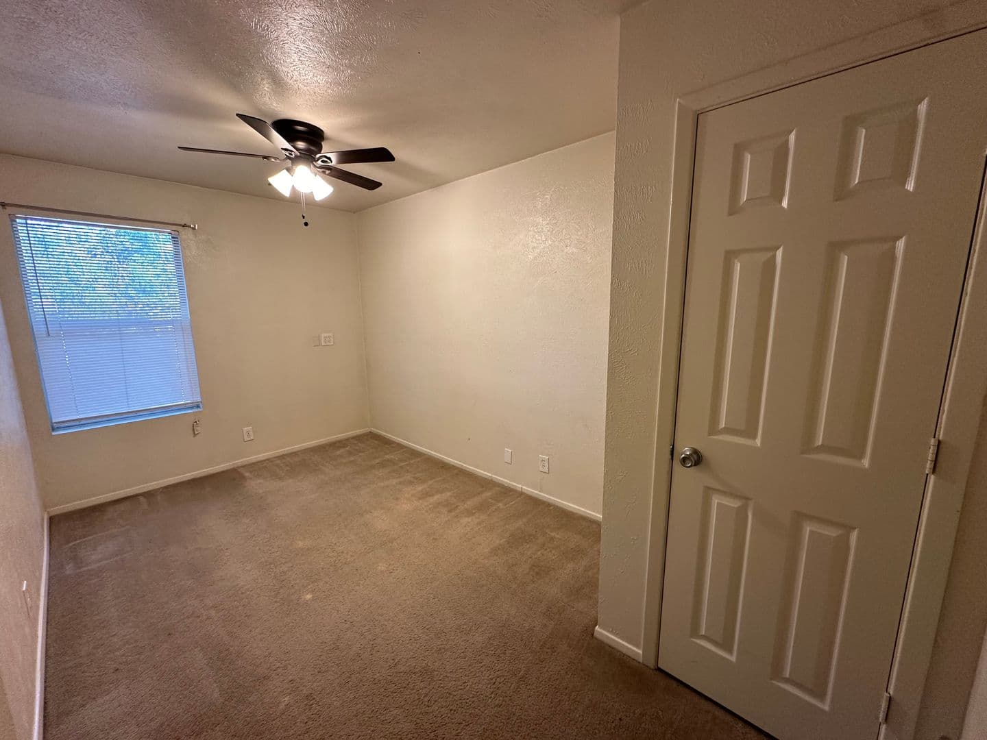 Denton Apartment: 1115 North Austin Street