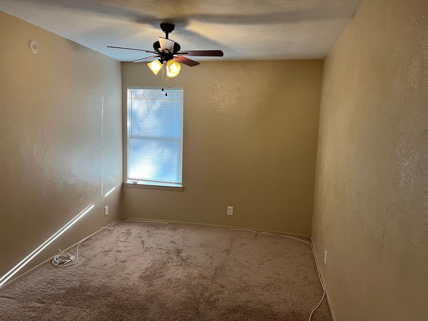 Denton Apartment: 1115 North Austin Street
