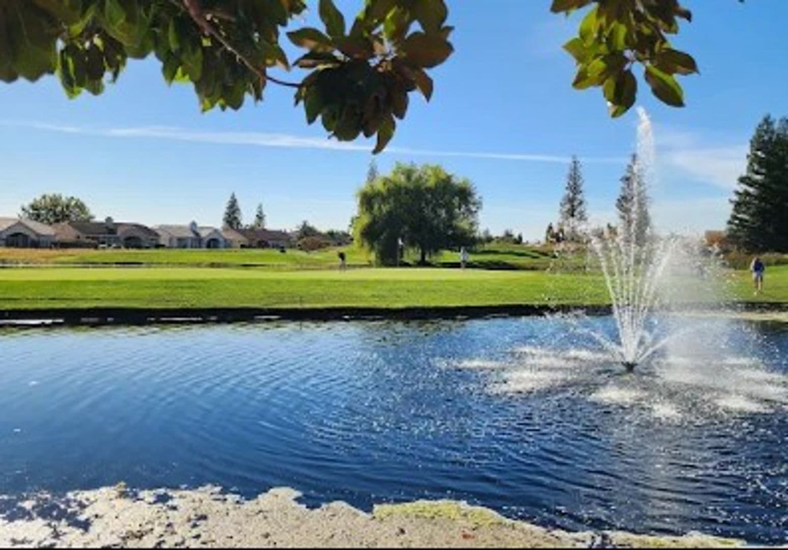 Roseville House: 272 Snowy River Court