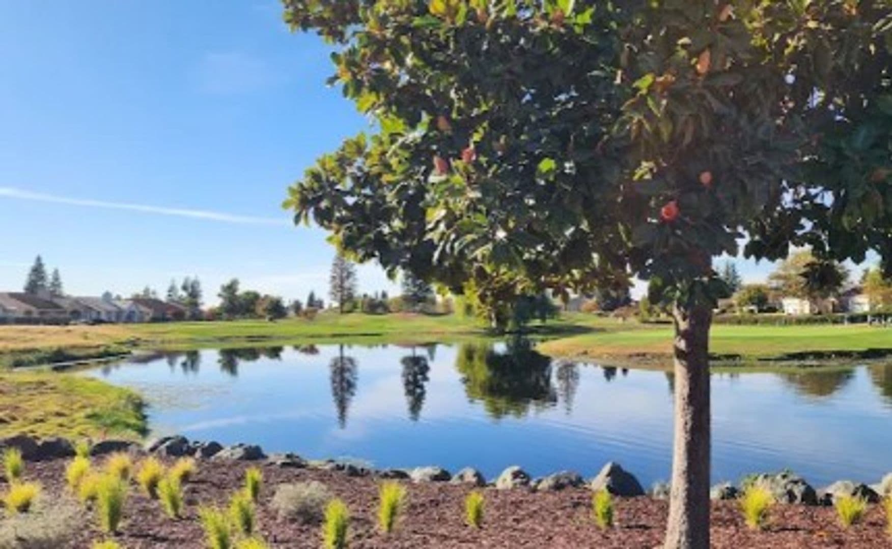 Roseville House: 272 Snowy River Court