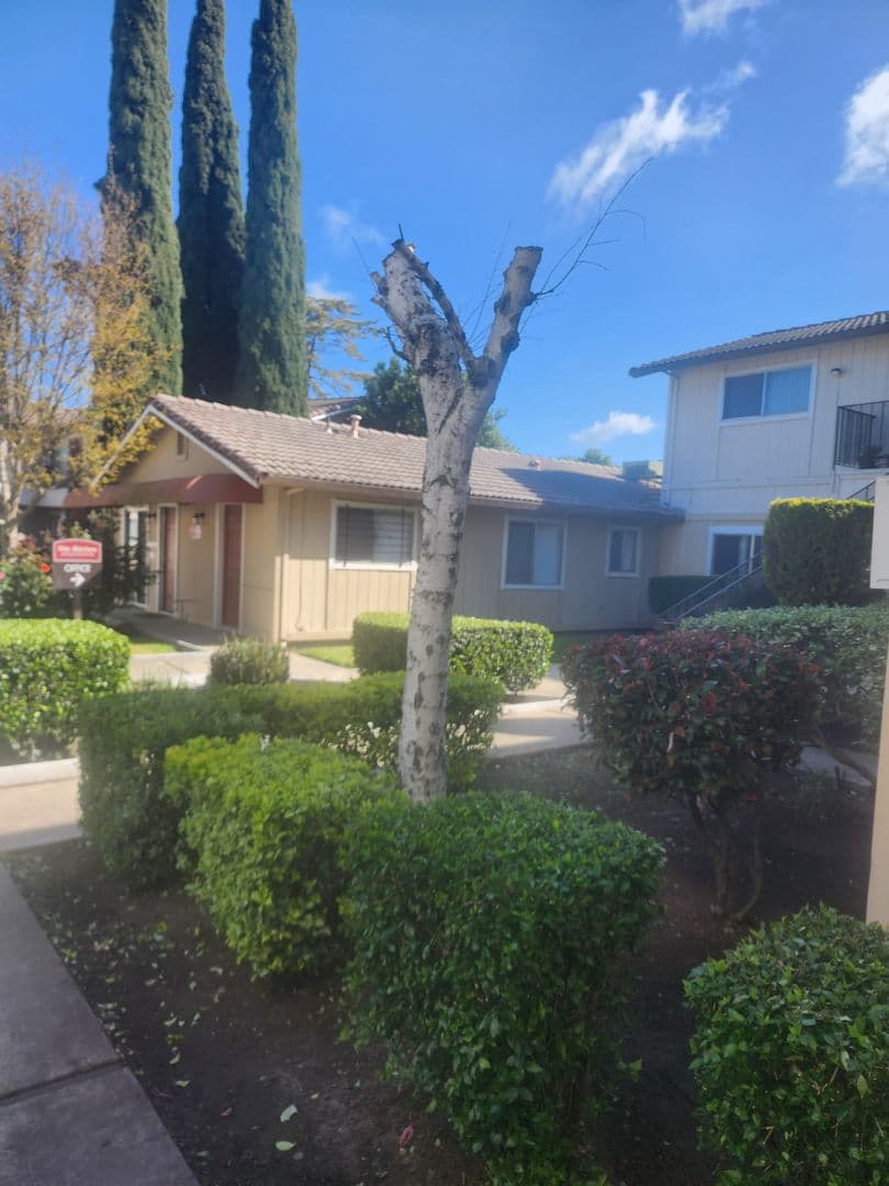 Stockton Apartment: 7945 N El Dorado Street