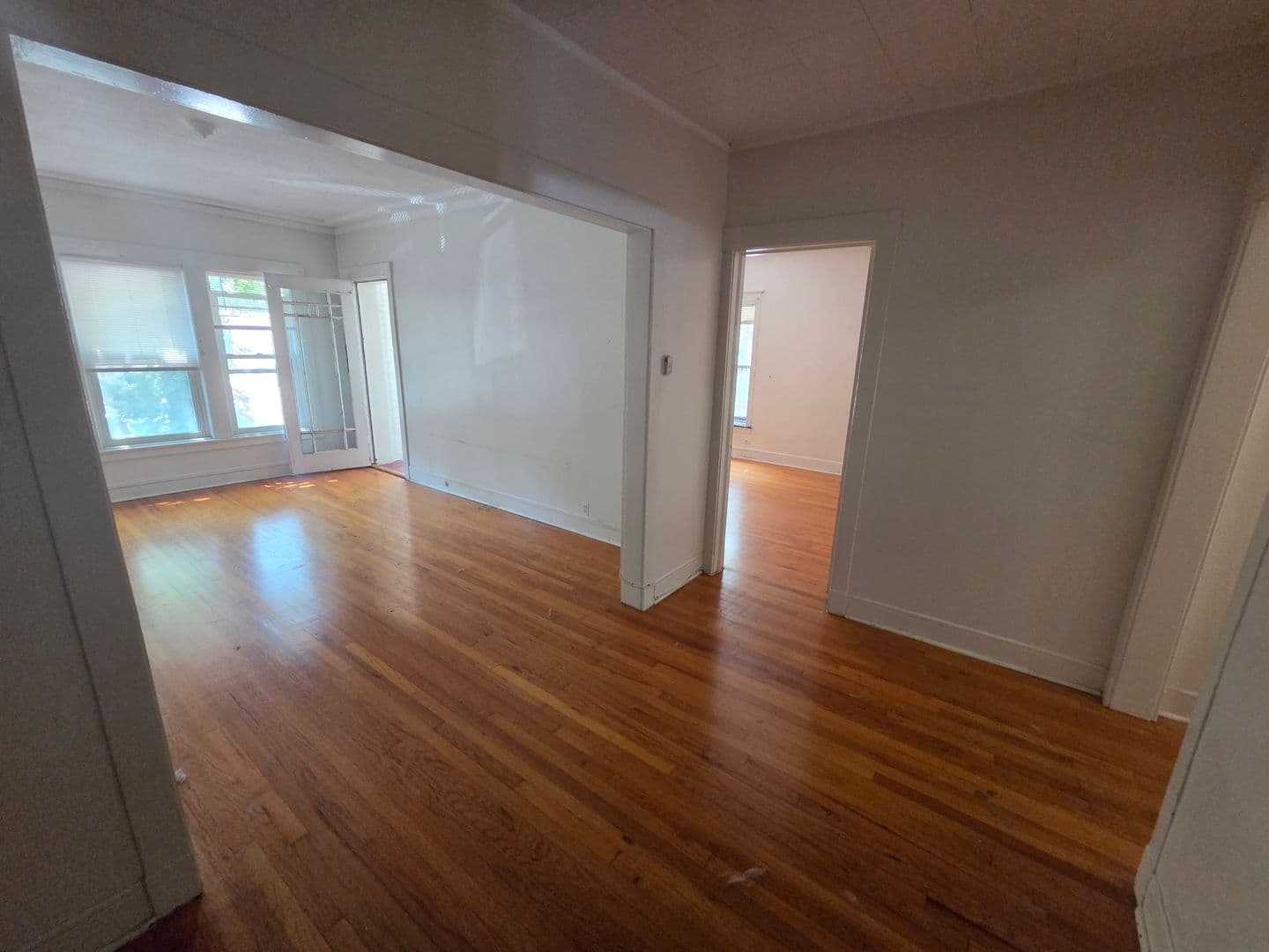 Chicago Apartment: 1308 W. Rosemont Ave