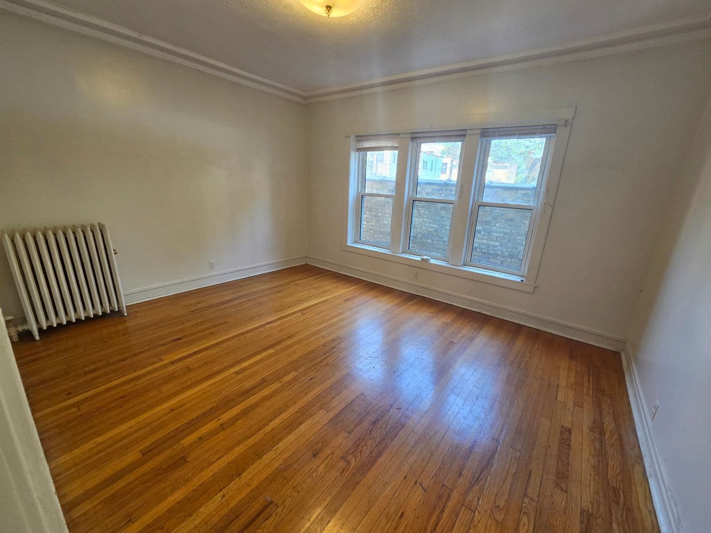 Chicago Apartment: 1308 W. Rosemont Ave