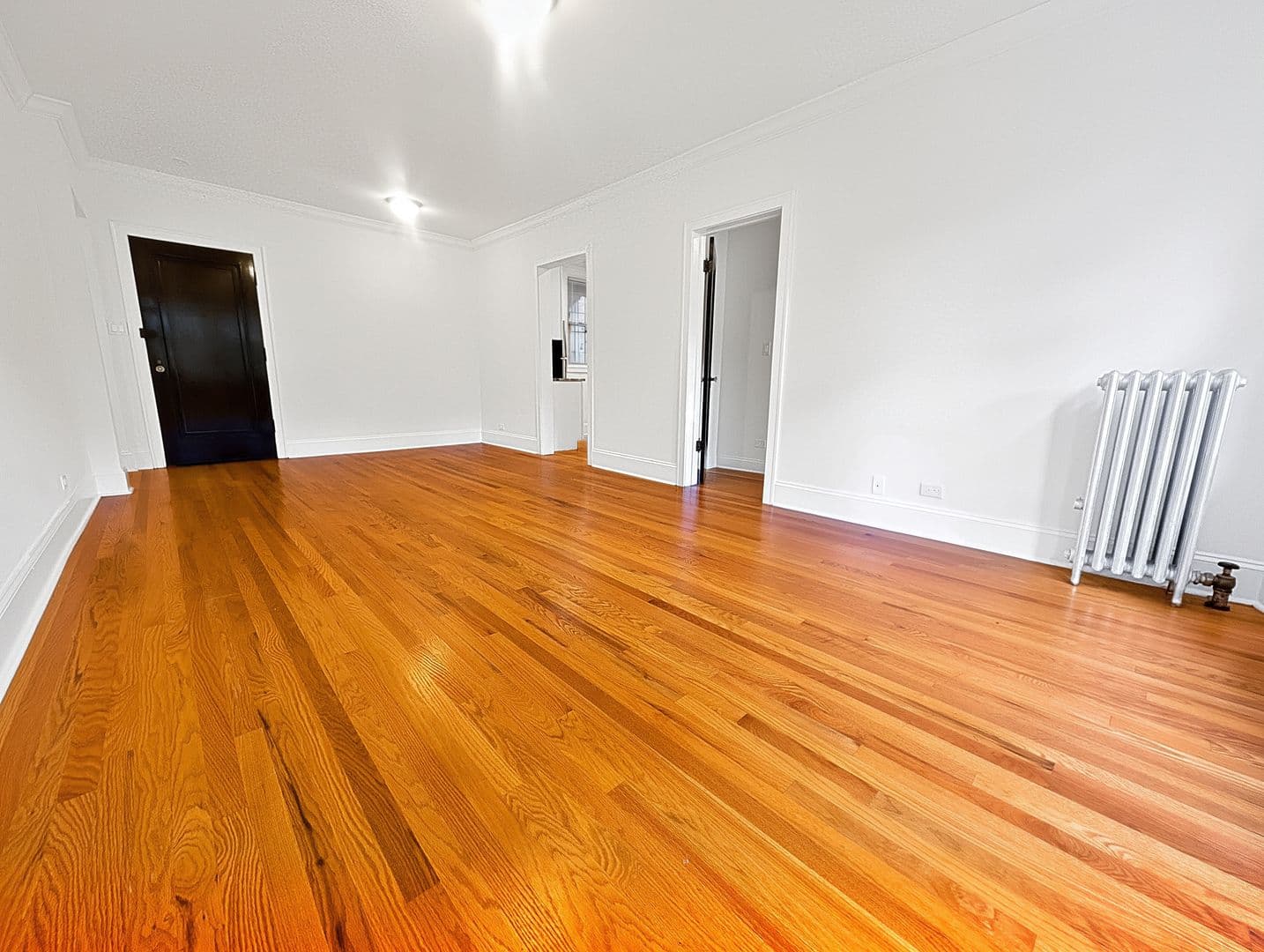 Chicago Apartment: 6638 N. Glenwood
