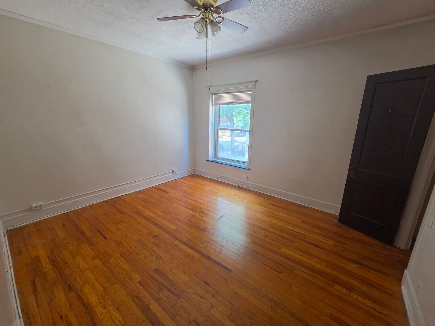 Chicago Apartment: 1308 W. Rosemont Ave