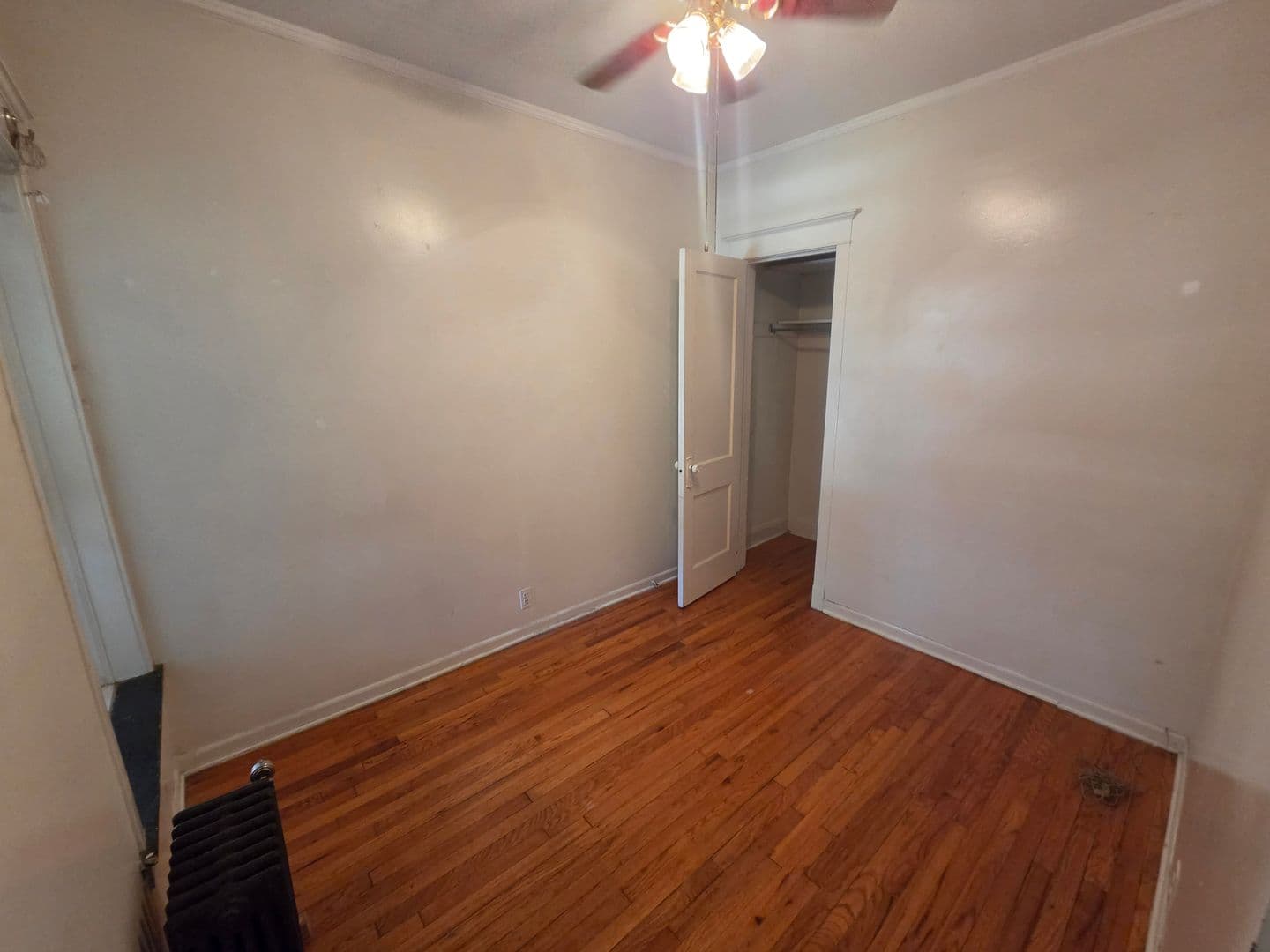 Chicago Apartment: 1308 W. Rosemont Ave