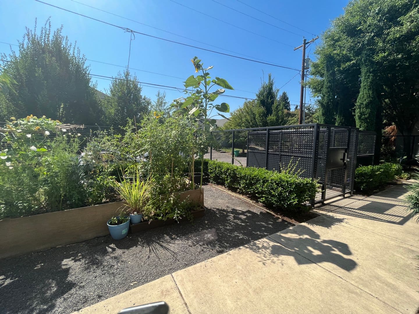 Portland Apartment: 1535 SE 29th Ave