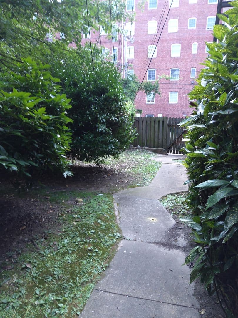 Baltimore Apartment: 3040 St. Paul St.