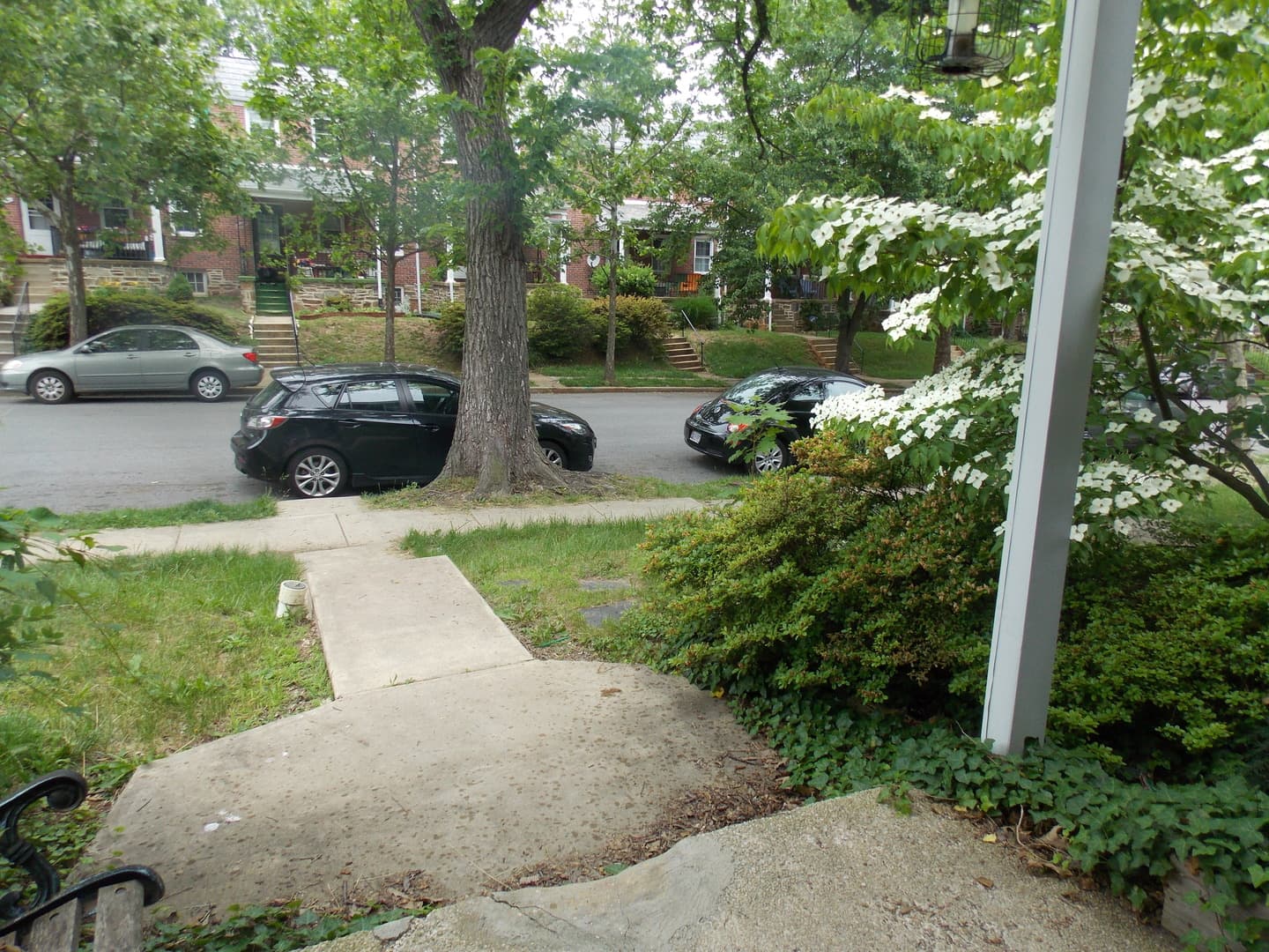Baltimore Apartment: 907 Chestnut Hill Ave.