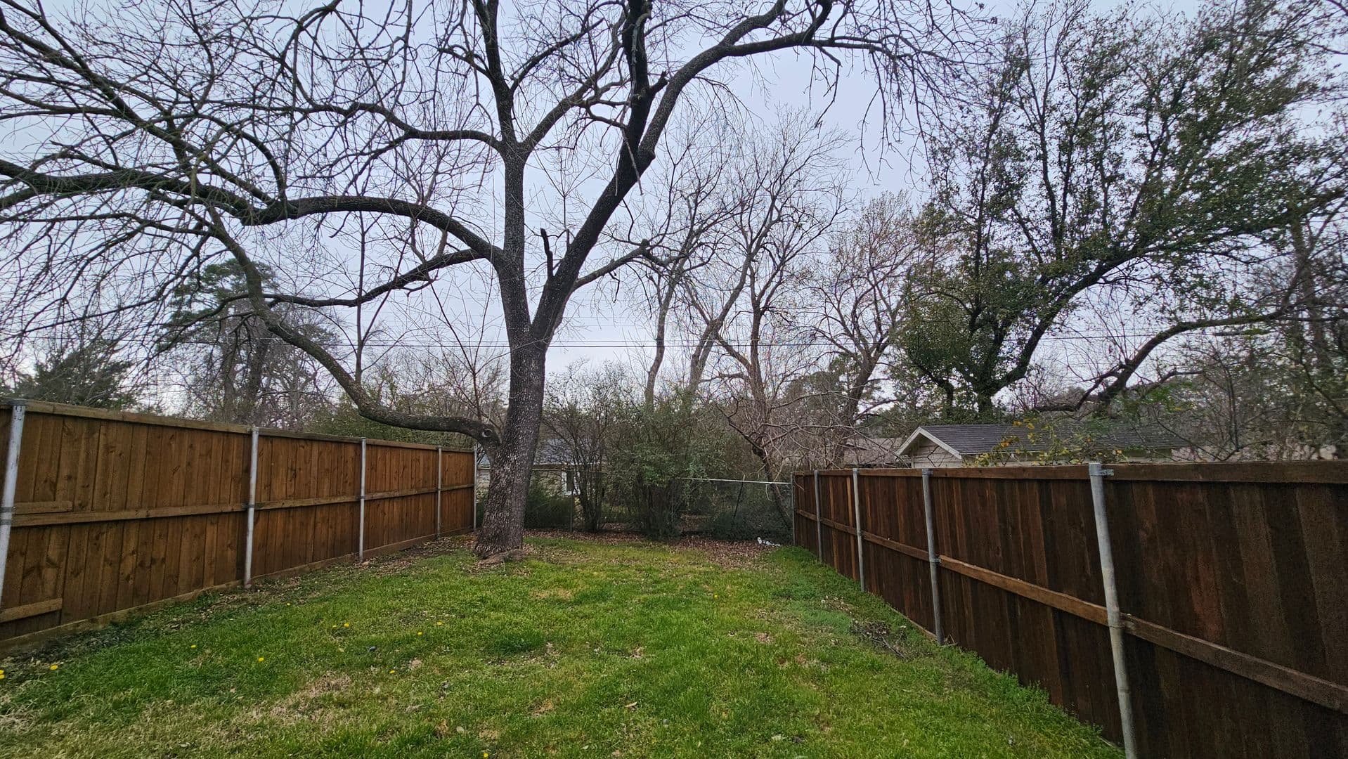 Denton Apartment: 2115 Glenwood Ln.