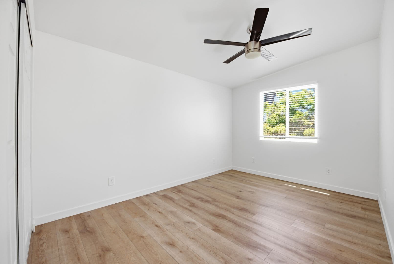 San Diego House: 6271 Mary Lane Drive