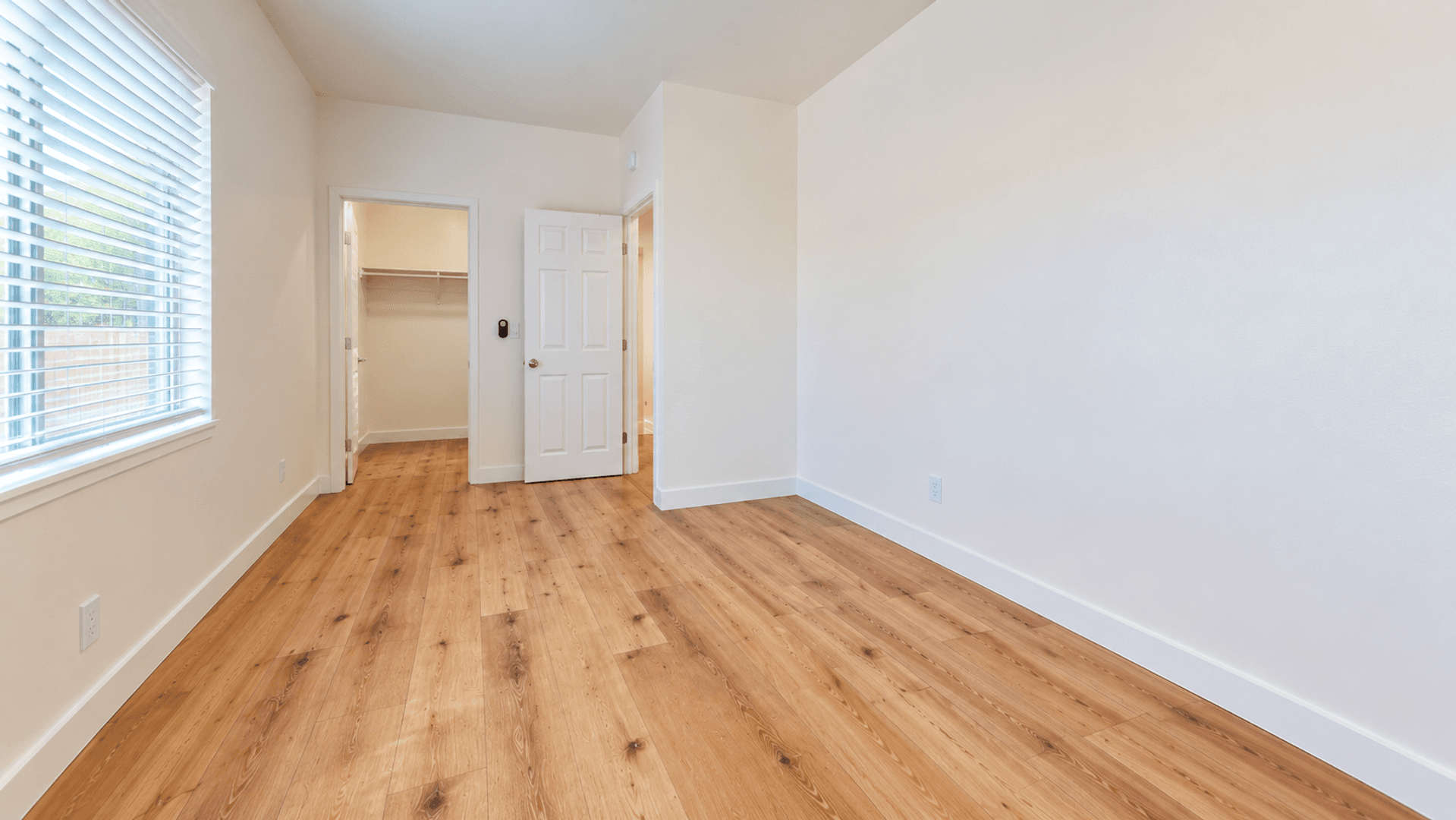 San Diego House: 5630 Dorothy Drive