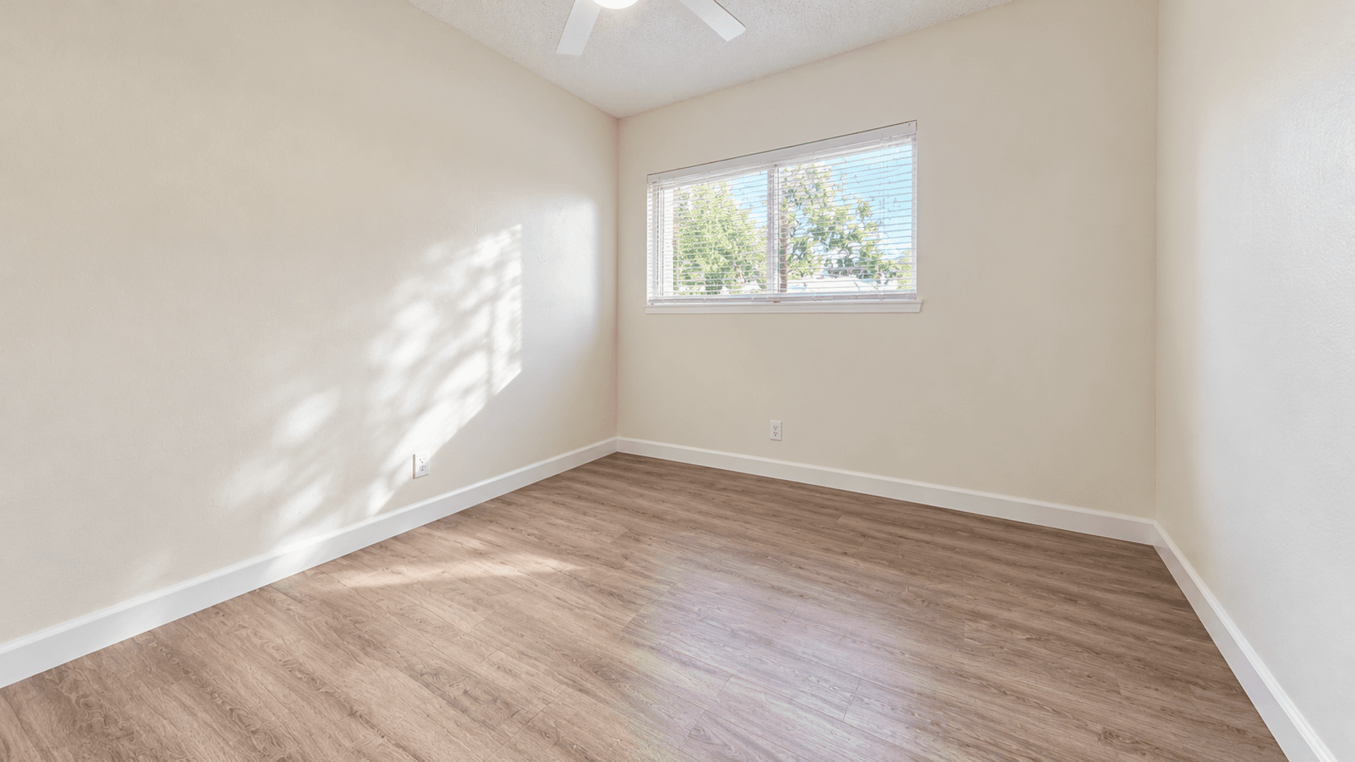 San Diego House: 5673 Campanile Way