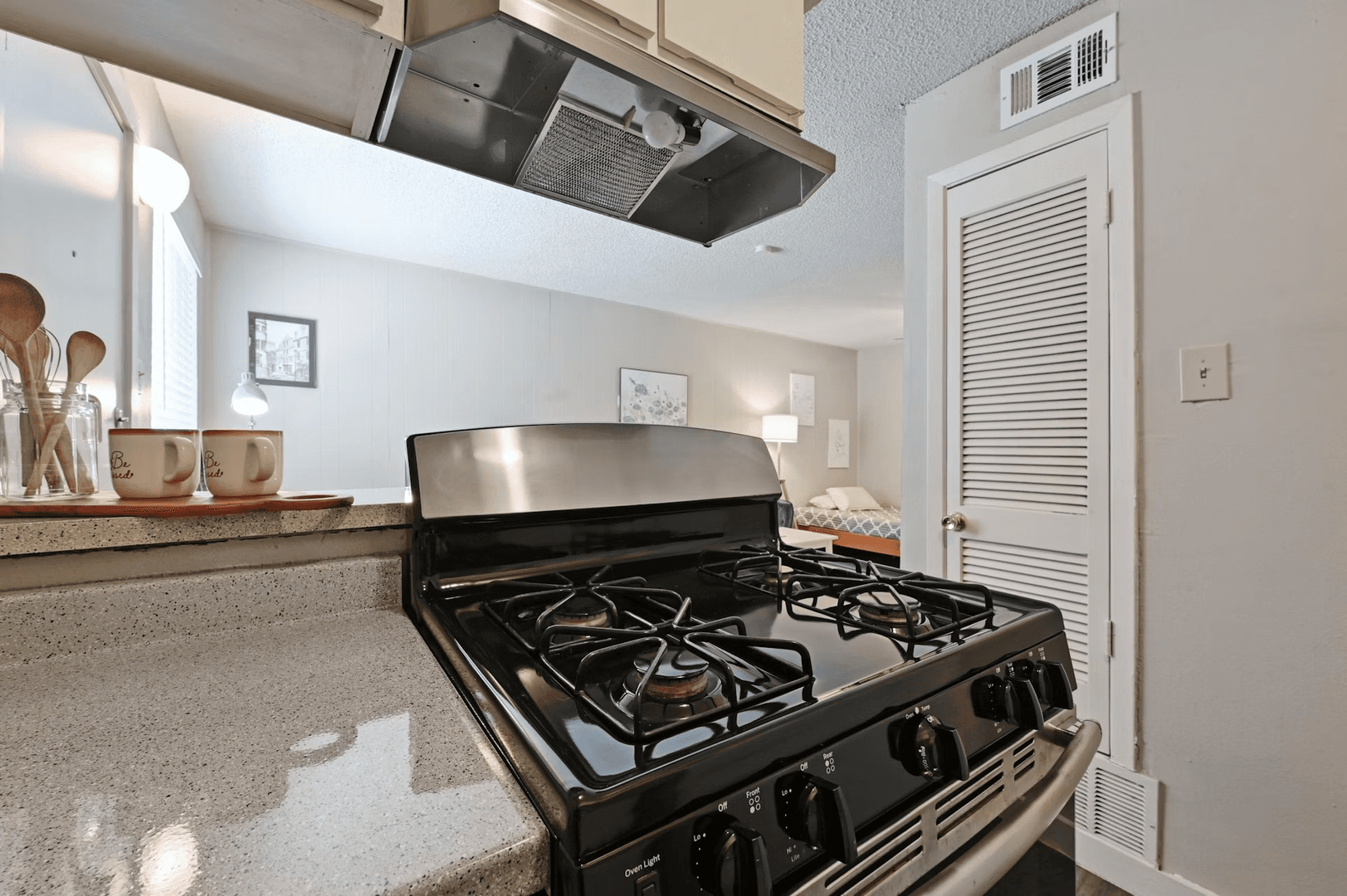 Austin Apartment: 502 Elmwood Pl