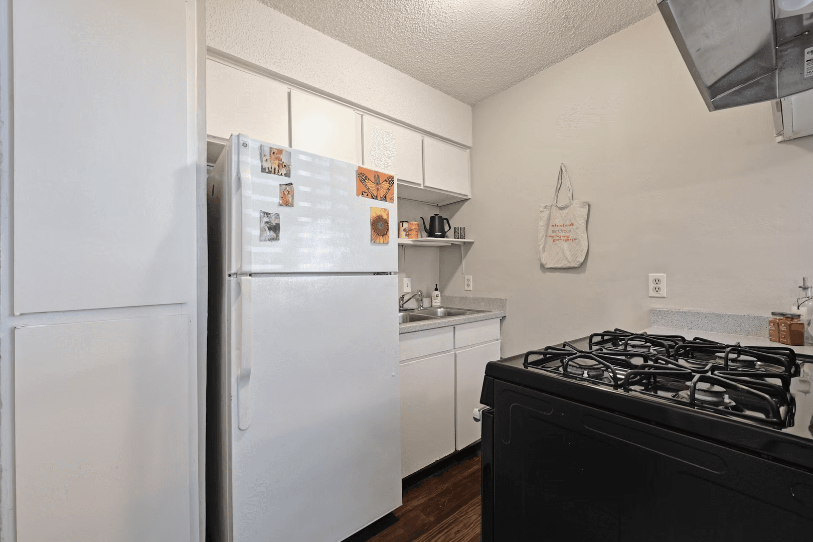 Austin Apartment: 502 Elmwood Pl