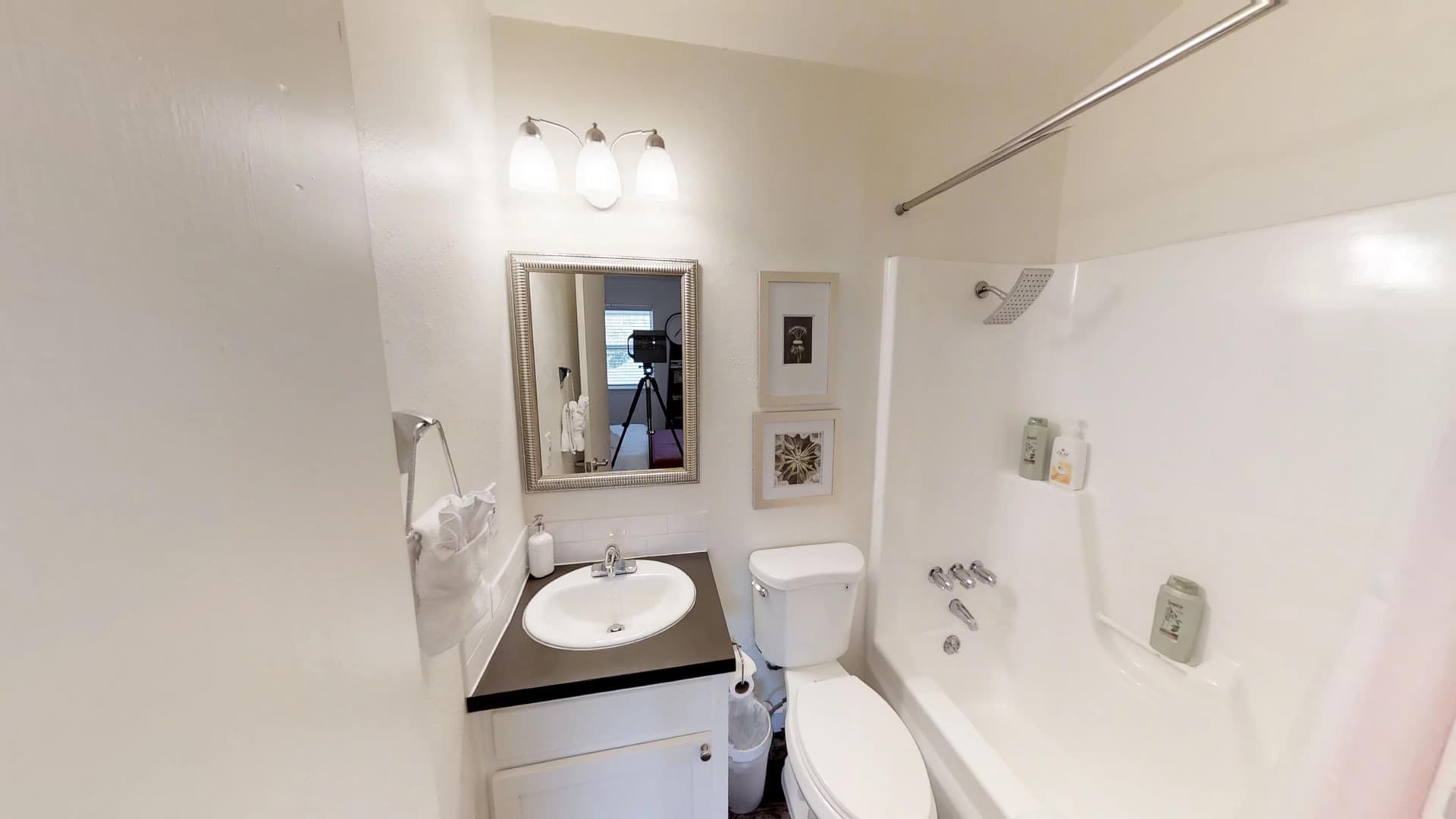 Austin Apartment: 1131 Hollow Creek