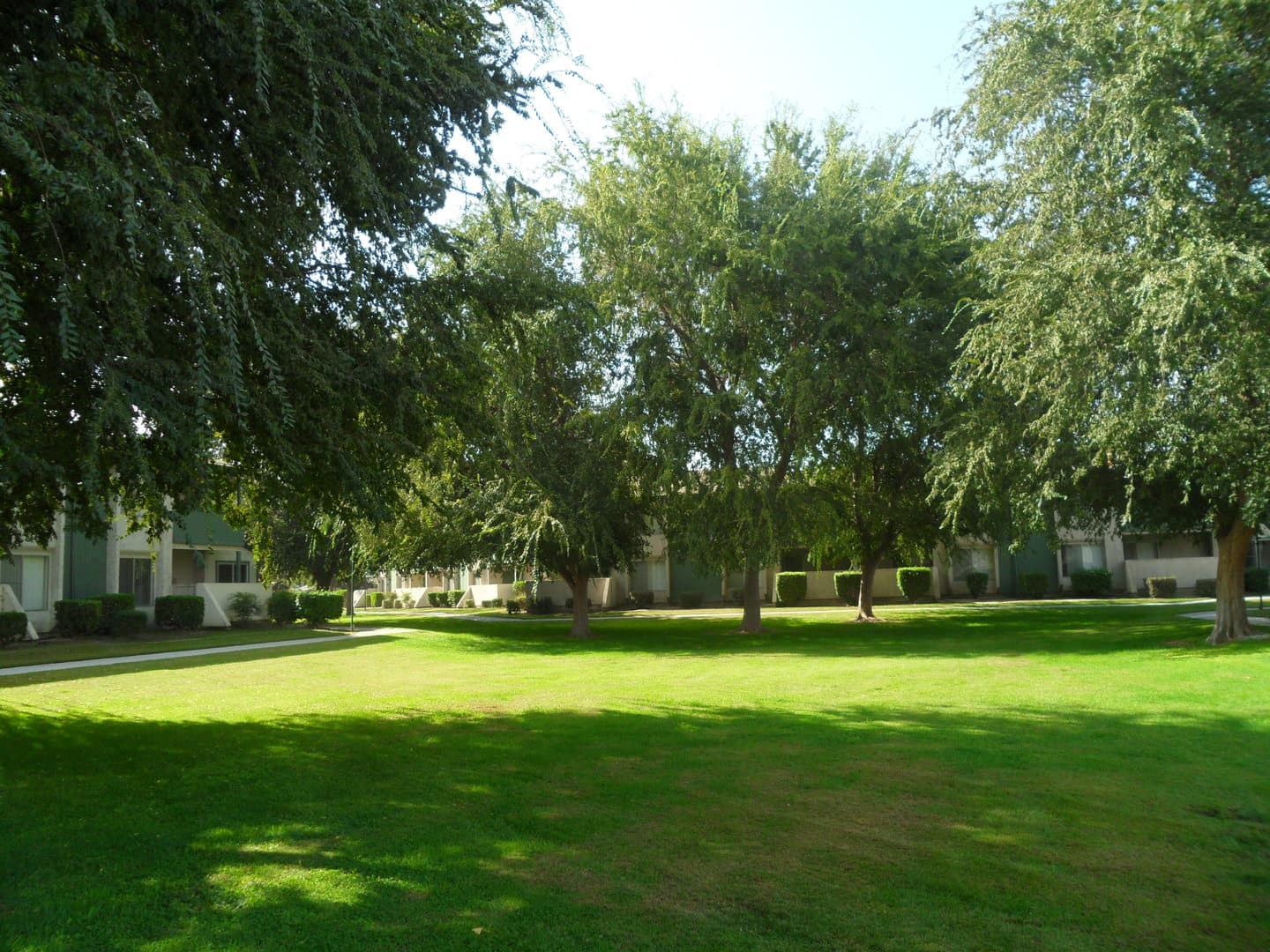 Bakersfield Apartment: 3401 WIBLE