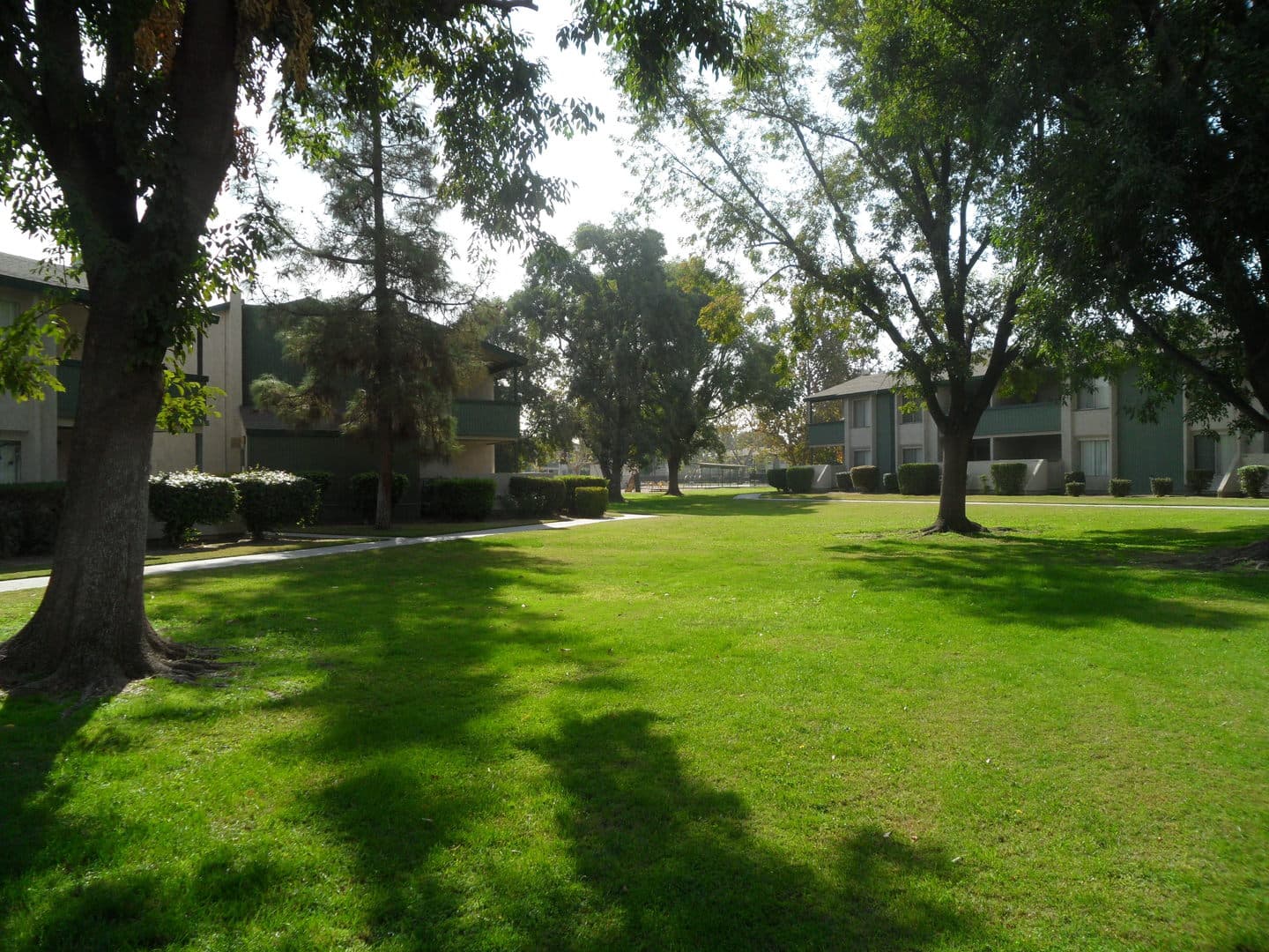 Bakersfield Apartment: 3401 WIBLE