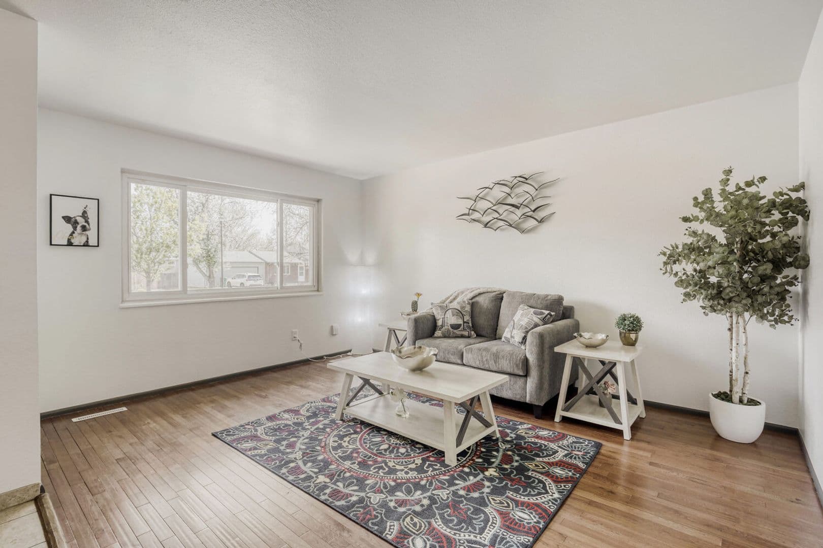 Fort Collins House: 3513 Kingston Cir.