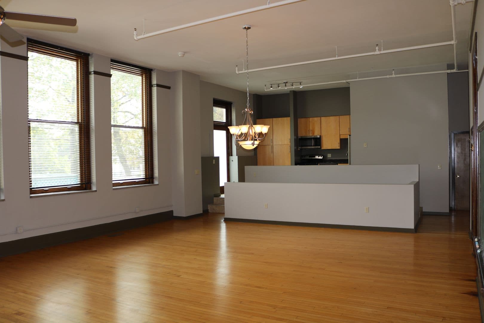Pittsburgh Apartment: 216 Jefferson Avenue