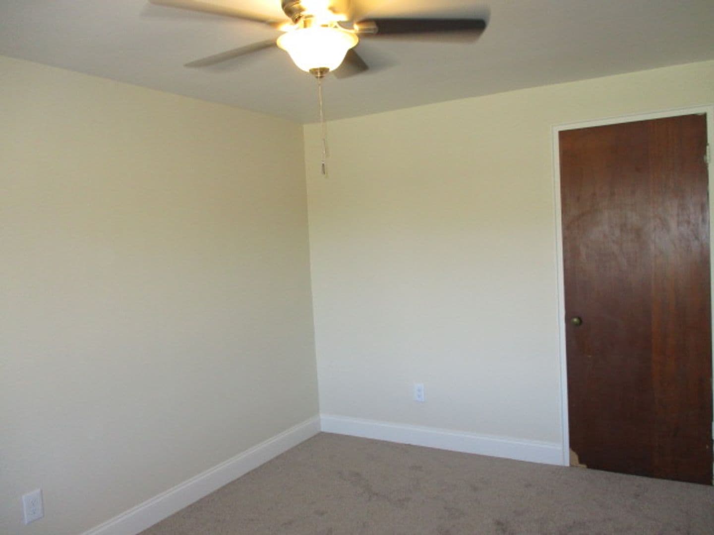 Bellevue Apartment: 219 Lincoln Avenue