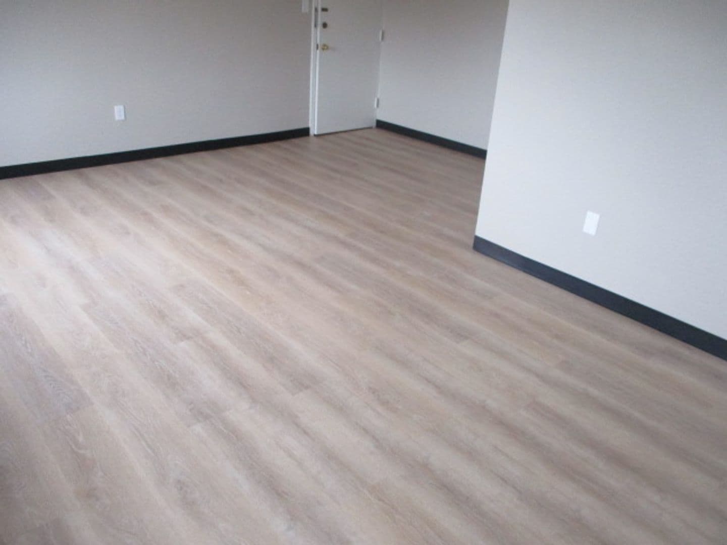 Wilkinsburg Apartment: 1010 W. Findley Dr.