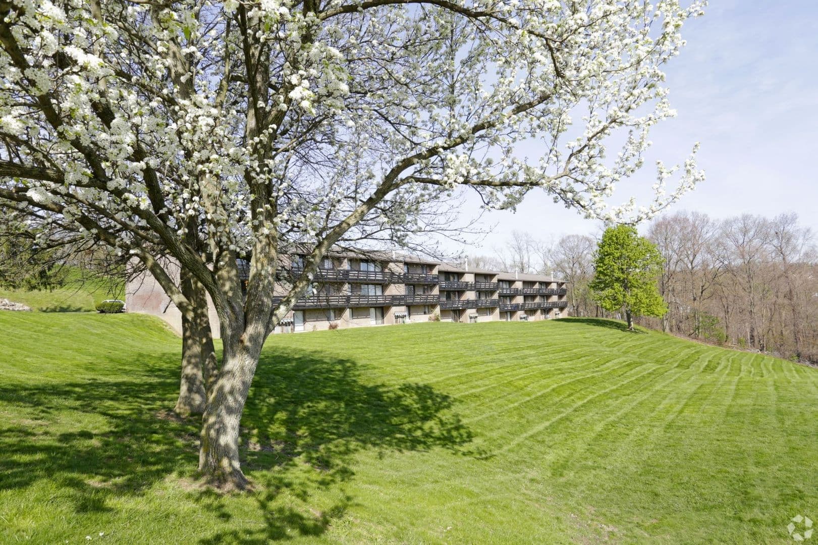 Moon Township Apartment: 700 Lee Drive