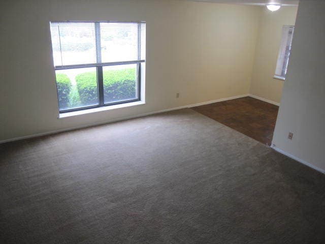 Avalon Apartment: 925 California Avenue