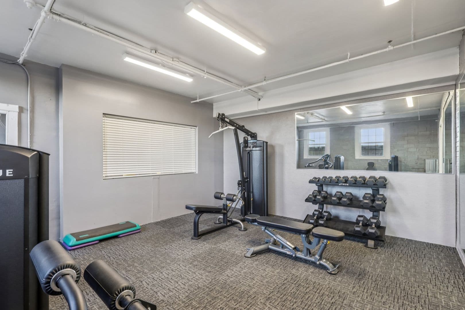 Pittsburgh Apartment: 3955 Bigelow Blvd
