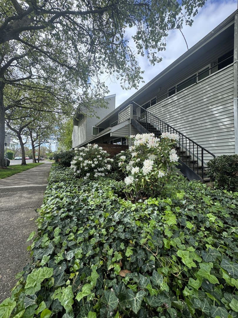 Eugene Apartment: 15th & Olive Apartments