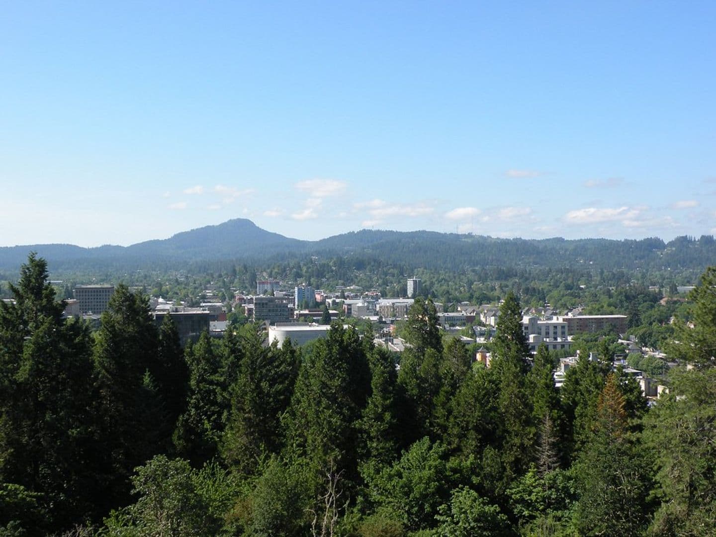 Eugene Apartment: 88 Lincoln St