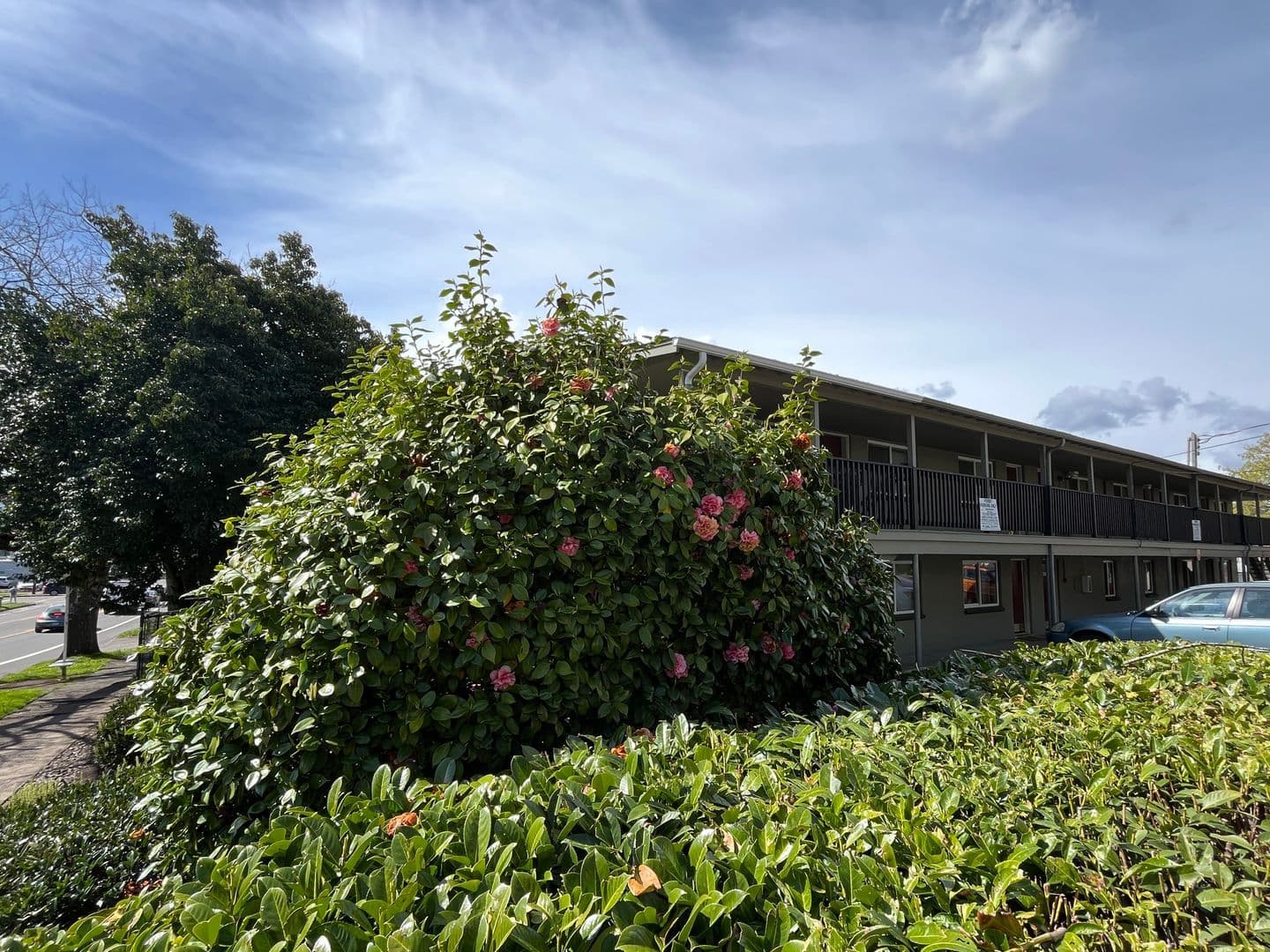 Eugene Apartment: 765 E 18th  #8