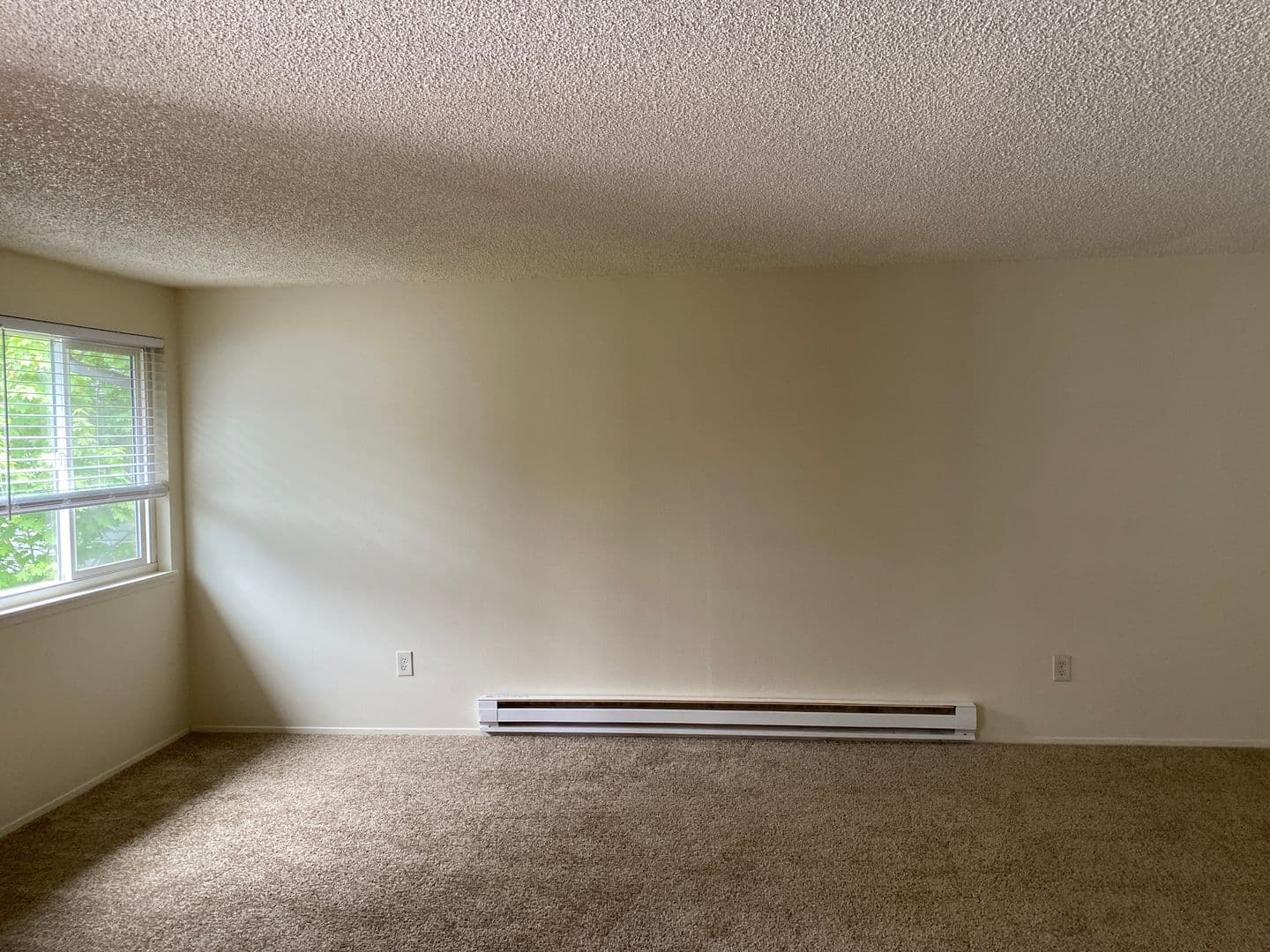 Corvallis Apartment: 459-C SE Lilly Ave