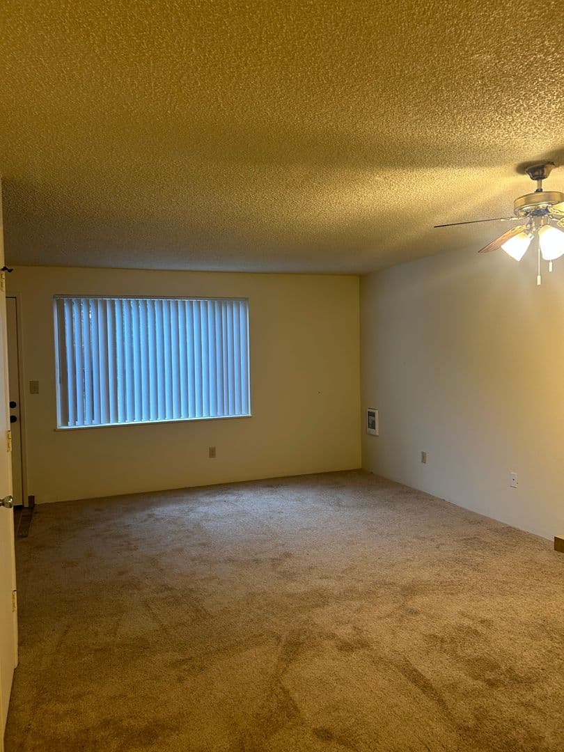 Albany Apartment: 505 27th Ave., SE #34